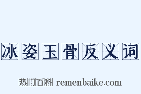 冰姿玉骨反义词是什么意思的图片